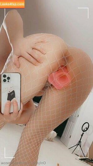 Danni Meow photo #1526