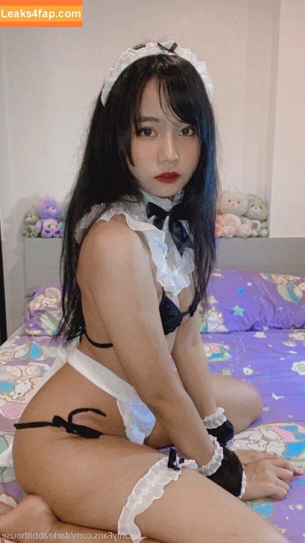 Darkrabbithouse / Darkrabbithous1 / Hunnybunny / hunnybunnyth leaked photo photo #0106