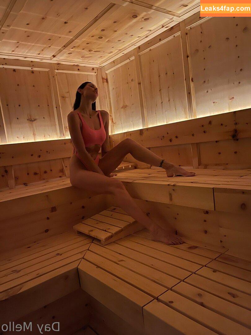 Dayane Mello / Fazenda / dayanemello / dayanemelloreal leaked photo photo #0114