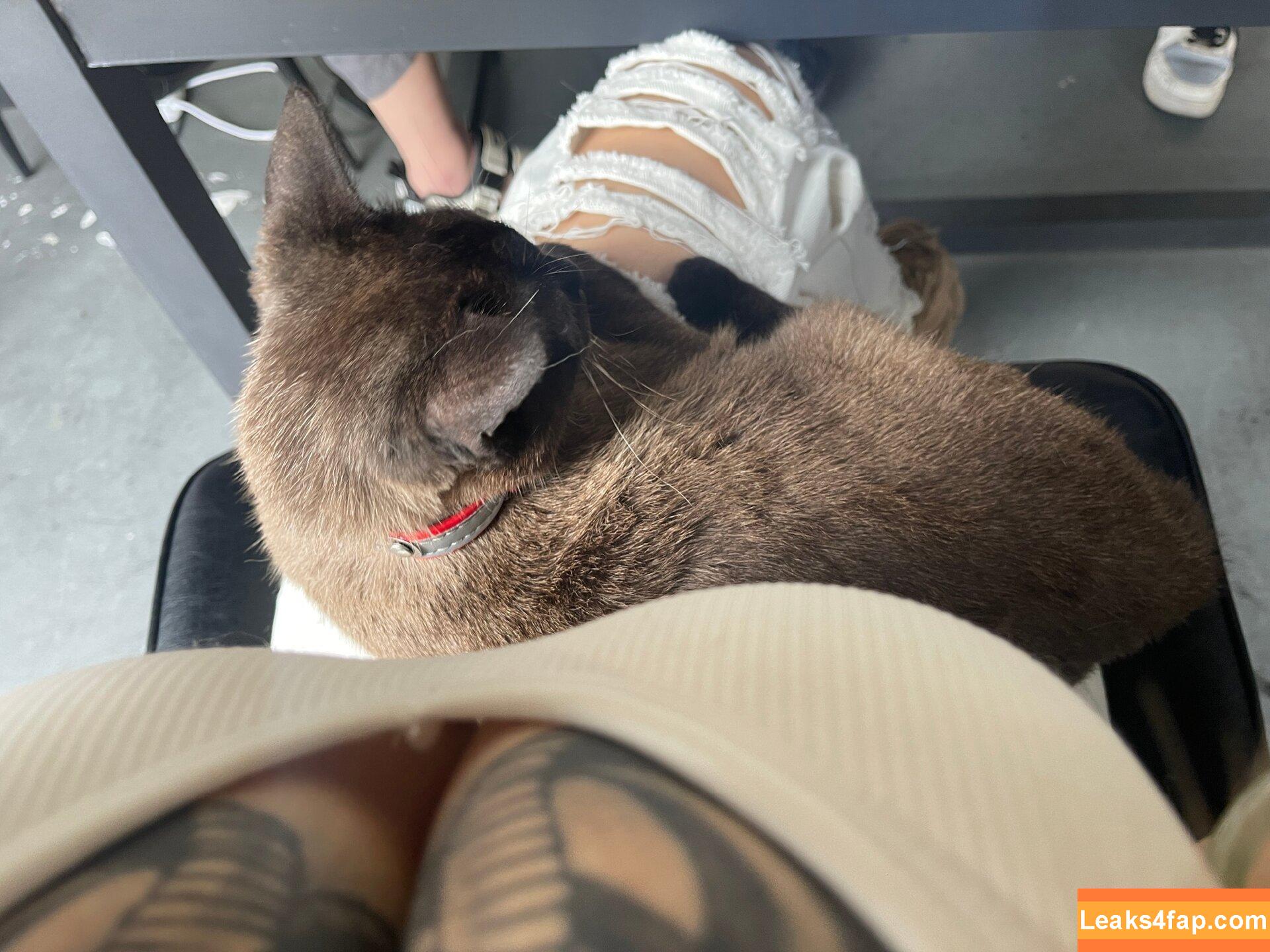 Deer_white / DeerWhite_ / deer_white_ / deerwhite leaked photo photo #0913