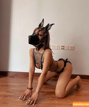 Deer_white фото #0355