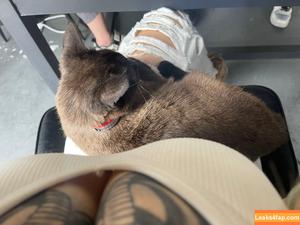 Deer_white фото #0913