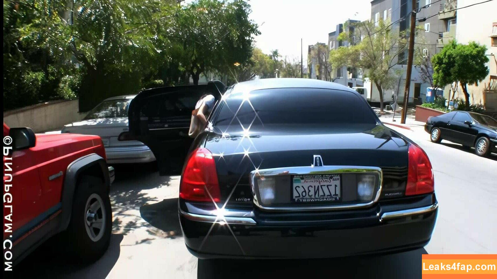 Denise Milani / denisemilani / denisemilaniofficial leaked photo photo #0040