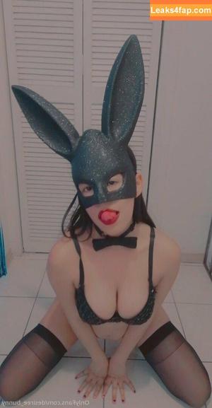 Desiree Bunny photo #0148