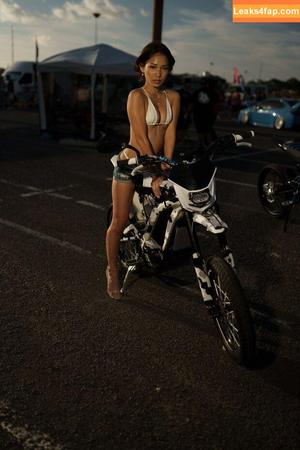 Diamitric photo #0226