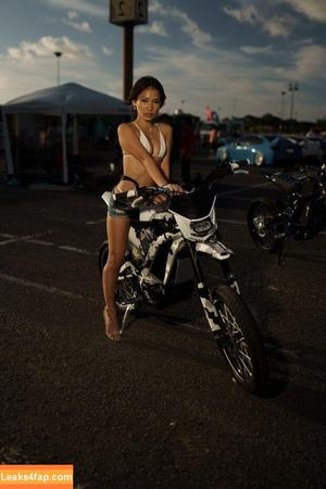 Diamitric photo #0227