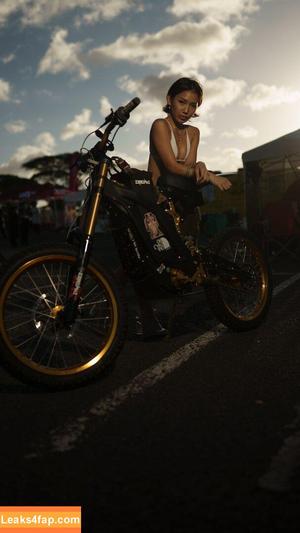 Diamitric photo #0233