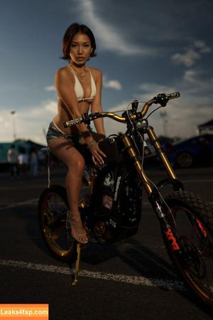 Diamitric photo #0237