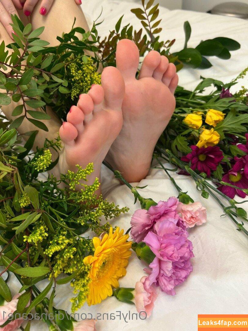 Dianacane1 / Diana feet / Dianarichrich / canediana leaked photo photo #0003