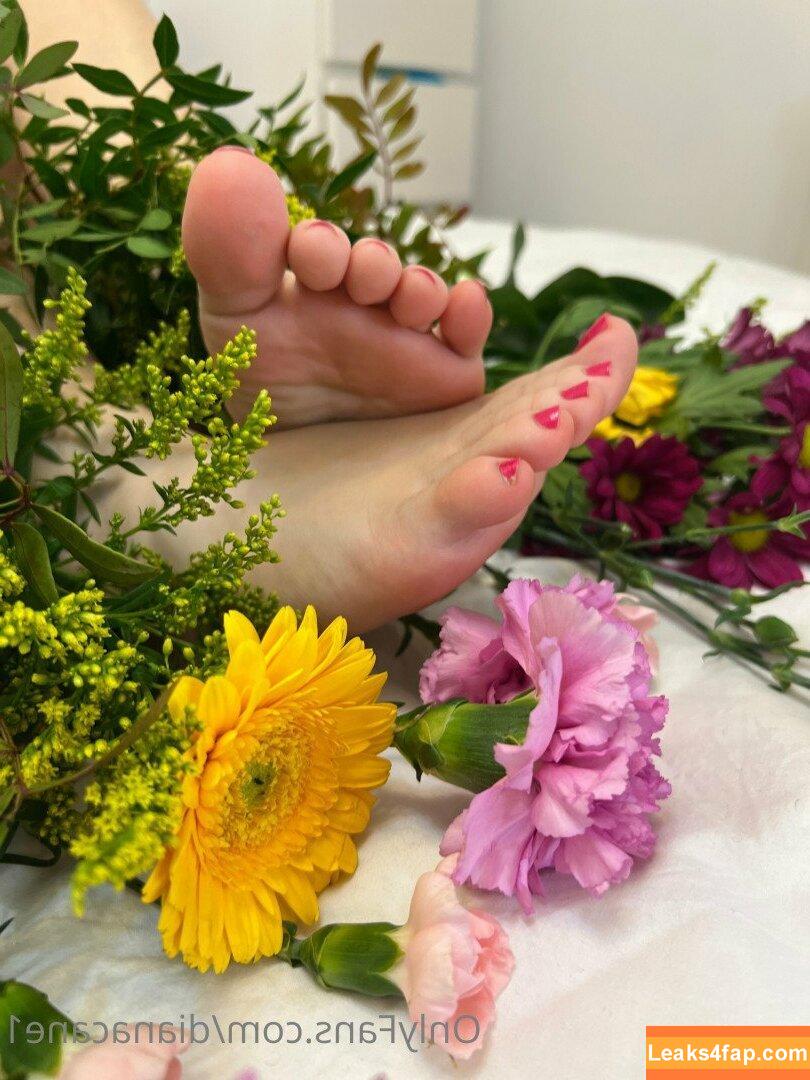 Dianacane1 / Diana feet / Dianarichrich / canediana leaked photo photo #0035