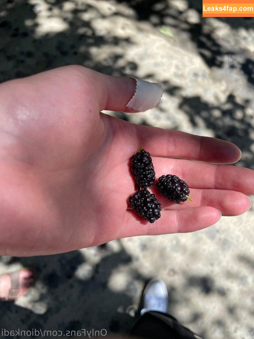 Dionkadi / dionkadi_ leaked photo photo #0031