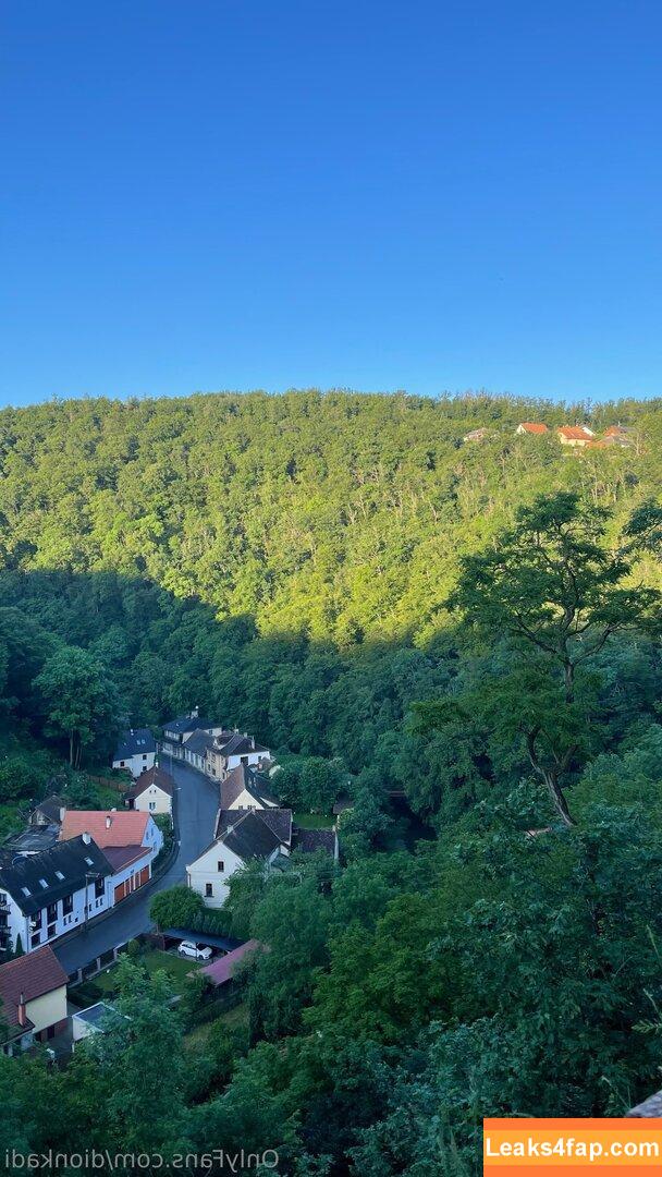 Dionkadi / dionkadi_ leaked photo photo #0038