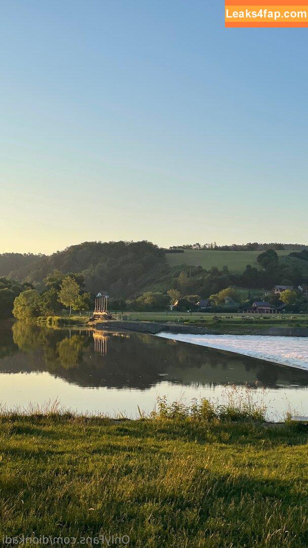 Dionkadi / dionkadi_ leaked photo photo #0055