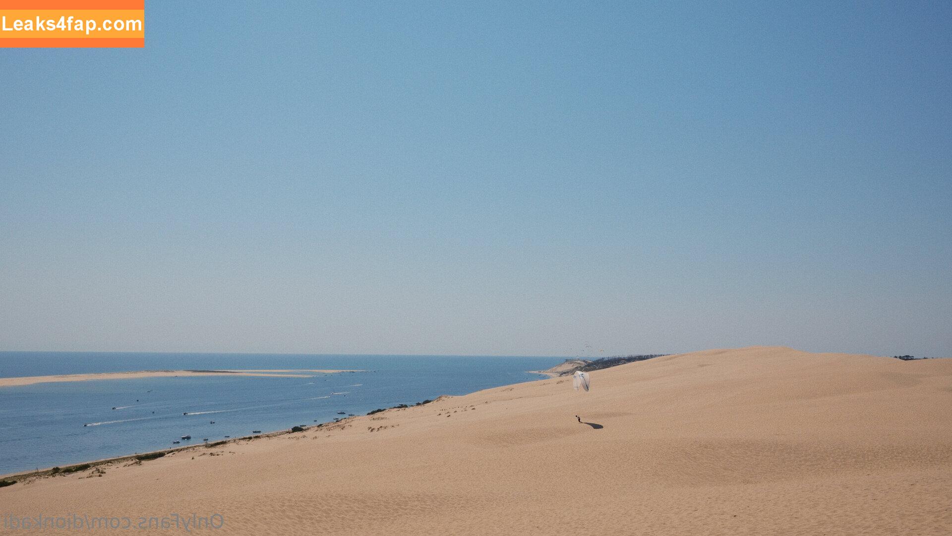 Dionkadi / dionkadi_ leaked photo photo #0063