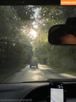 Dionkadi photo #0053