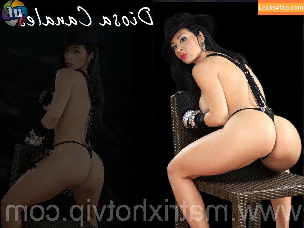 Diosa Canales / canalesdiosa / diosamundial leaked photo photo #0135