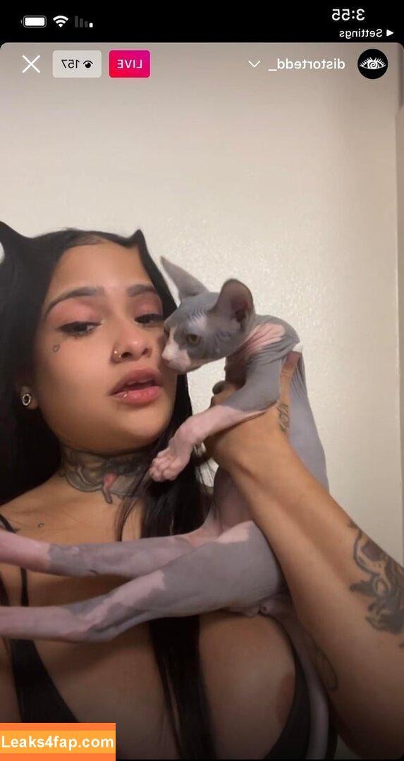 Distortedd / distortedd_ leaked photo photo #0041