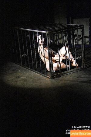 Dita Von Teese photo #1518