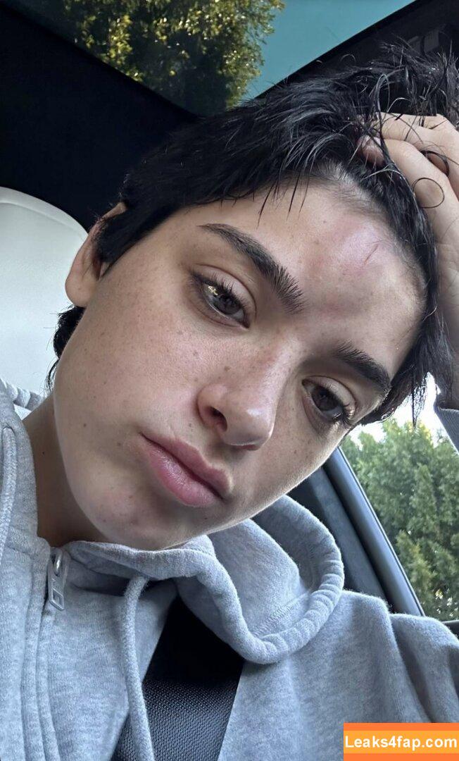 Dixie D'amelio / charliesdamelio / dixiedamelio leaked photo photo #0049