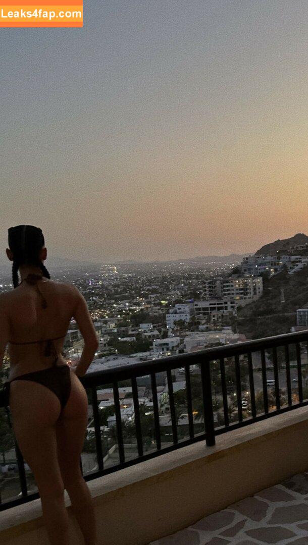 Dixie D'amelio / charliesdamelio / dixiedamelio слитое фото фото #0130