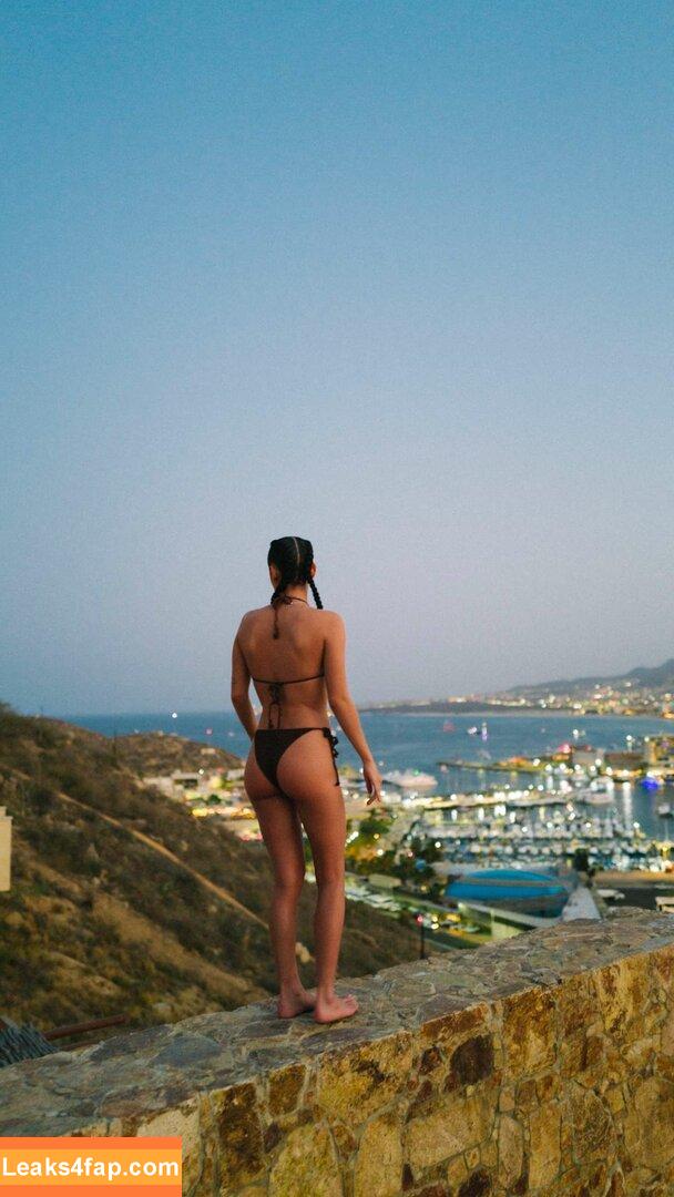 Dixie D'amelio / charliesdamelio / dixiedamelio слитое фото фото #0153