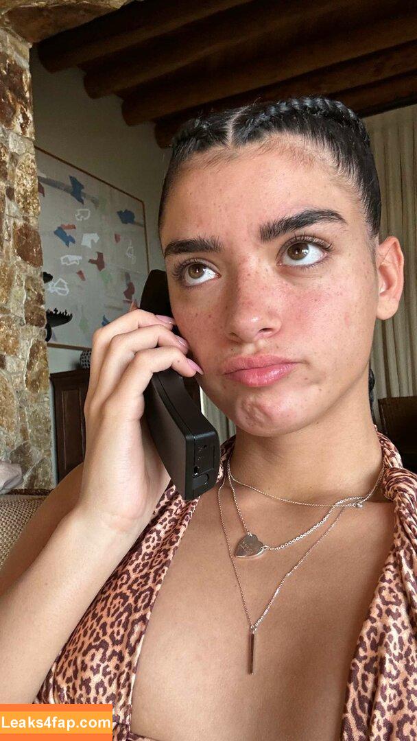 Dixie D'amelio / charliesdamelio / dixiedamelio слитое фото фото #0177