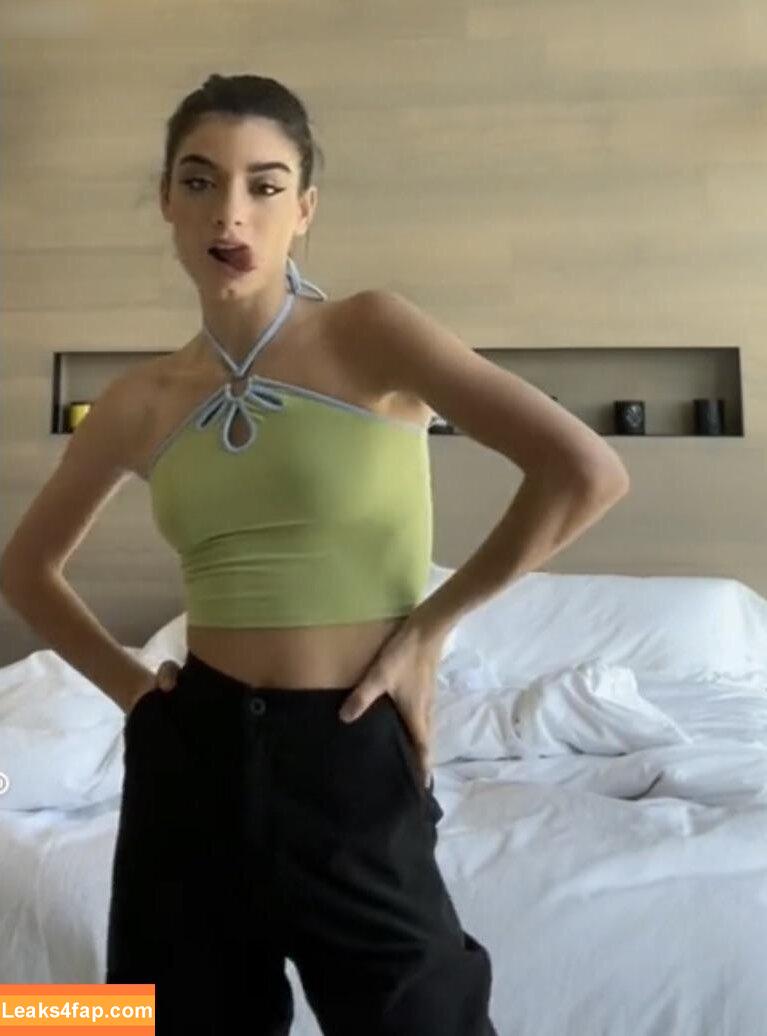 Dixie D'amelio / charliesdamelio / dixiedamelio leaked photo photo #0538
