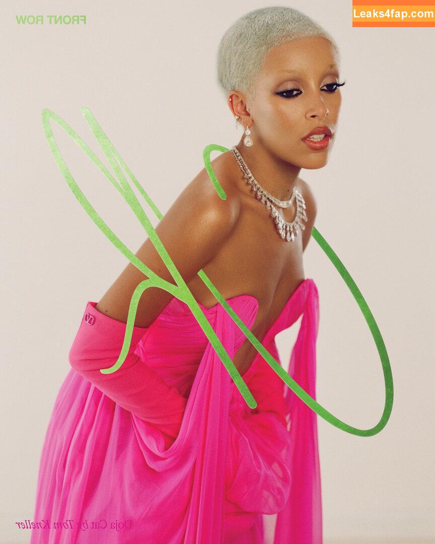 Doja Cat / DojaCat слитое фото фото #0094