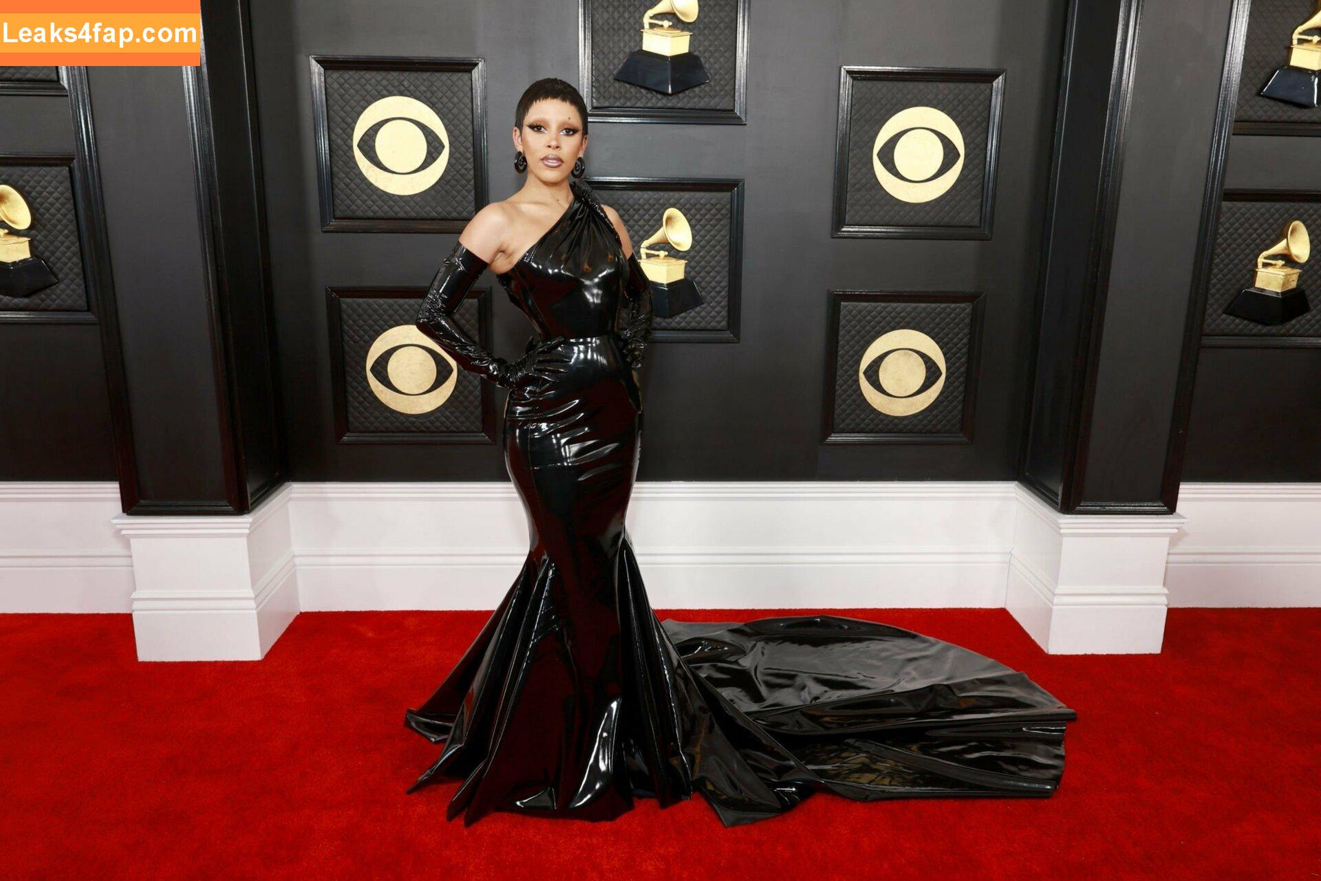 Doja Cat / DojaCat слитое фото фото #0163