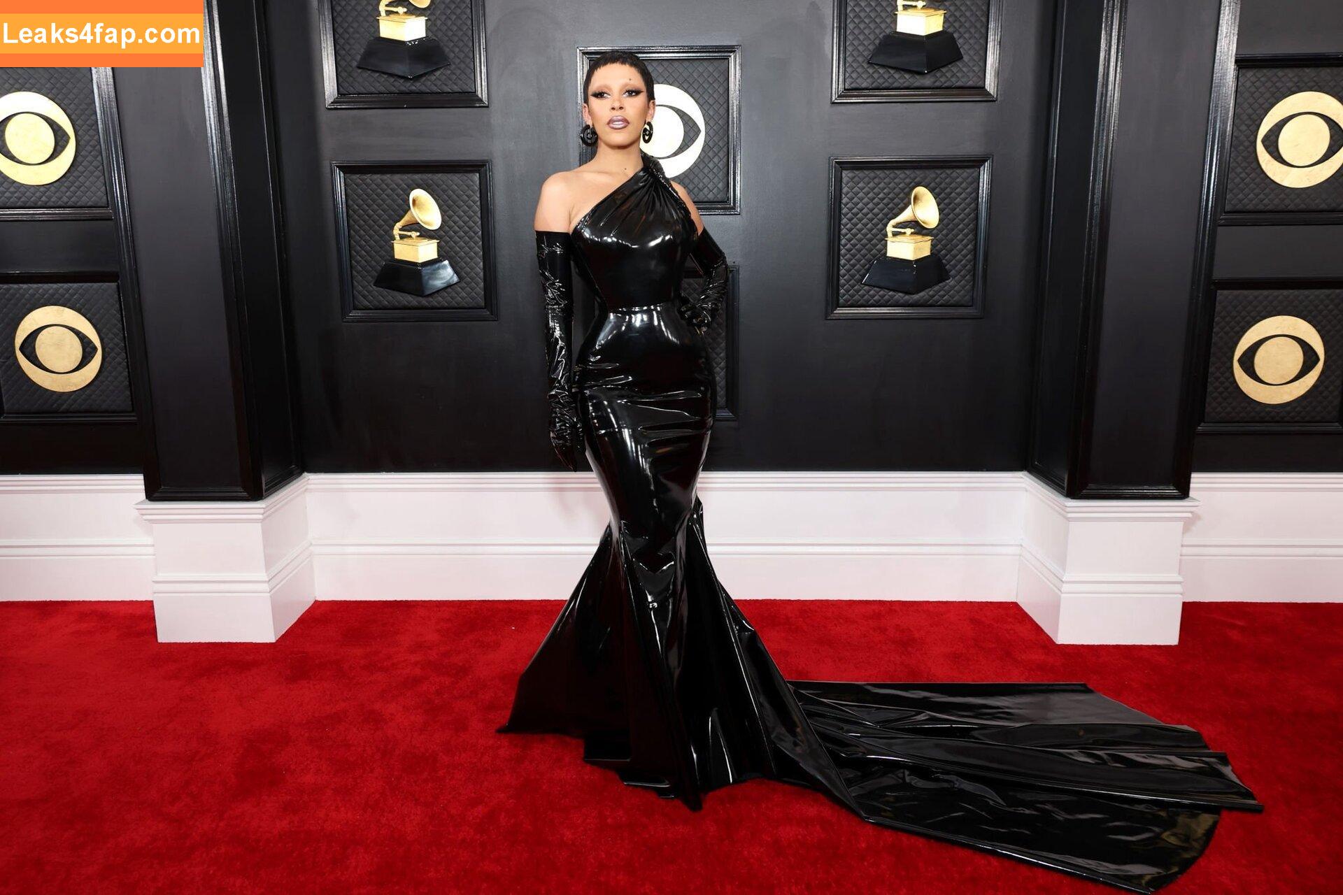 Doja Cat / DojaCat слитое фото фото #0182