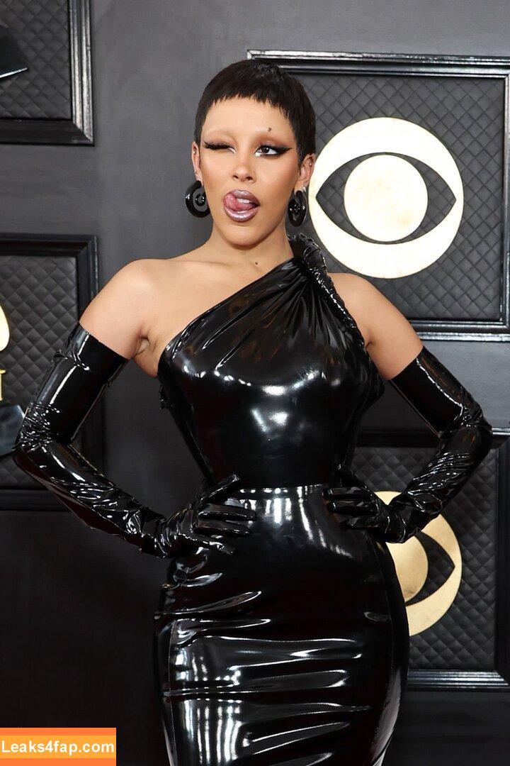 Doja Cat / DojaCat слитое фото фото #0184