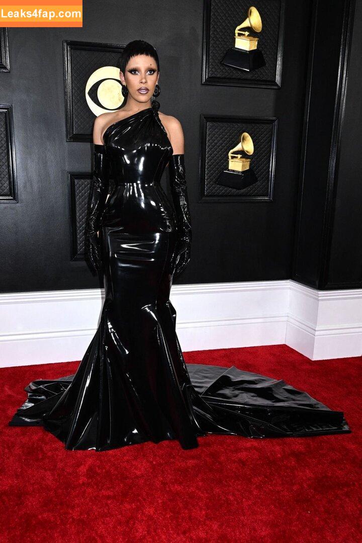 Doja Cat / DojaCat слитое фото фото #0198