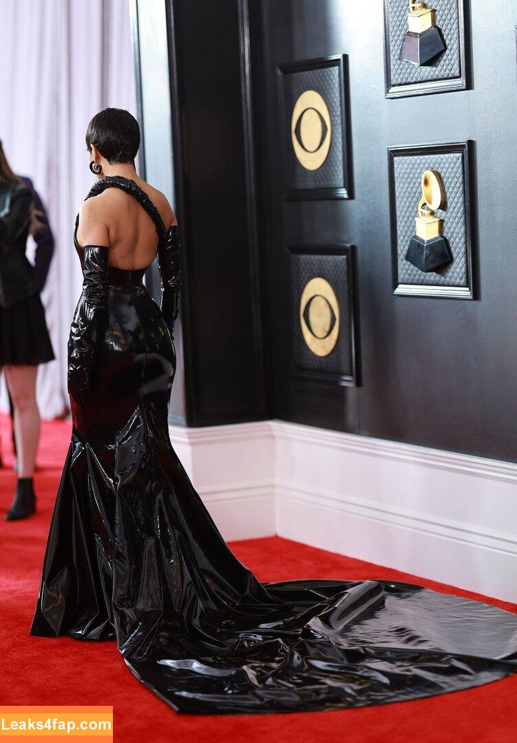 Doja Cat / DojaCat слитое фото фото #0220