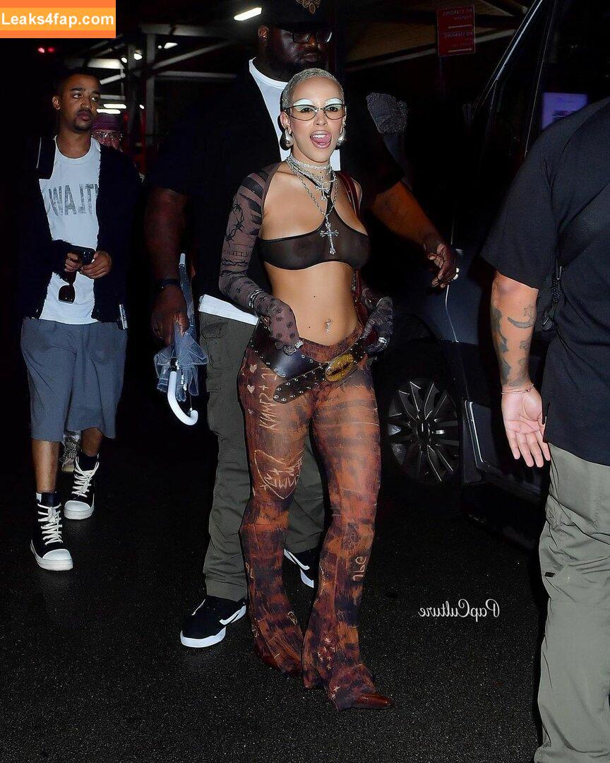 Doja Cat / DojaCat слитое фото фото #0375