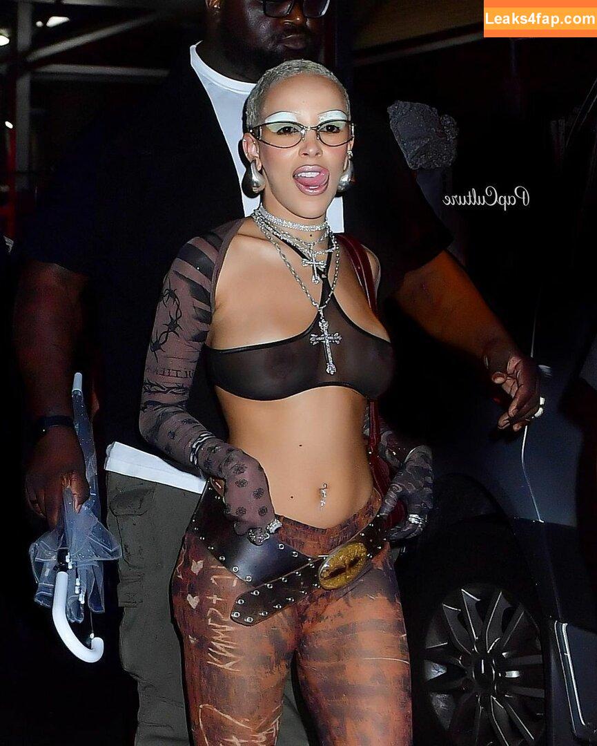 Doja Cat / DojaCat слитое фото фото #0376