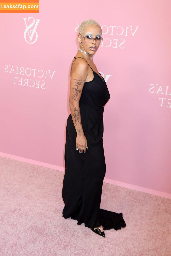 Doja Cat / DojaCat слитое фото фото #0409