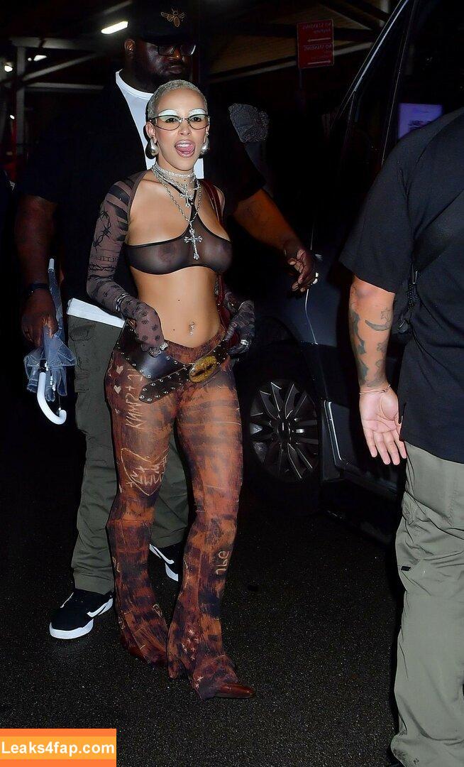 Doja Cat / DojaCat слитое фото фото #0438