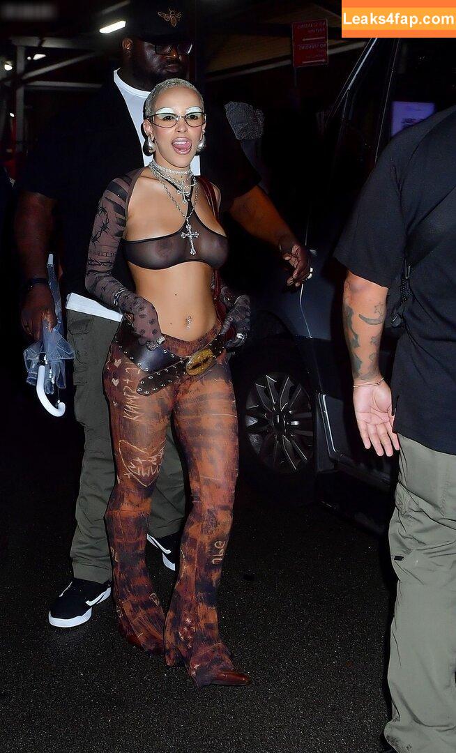 Doja Cat / DojaCat слитое фото фото #0785