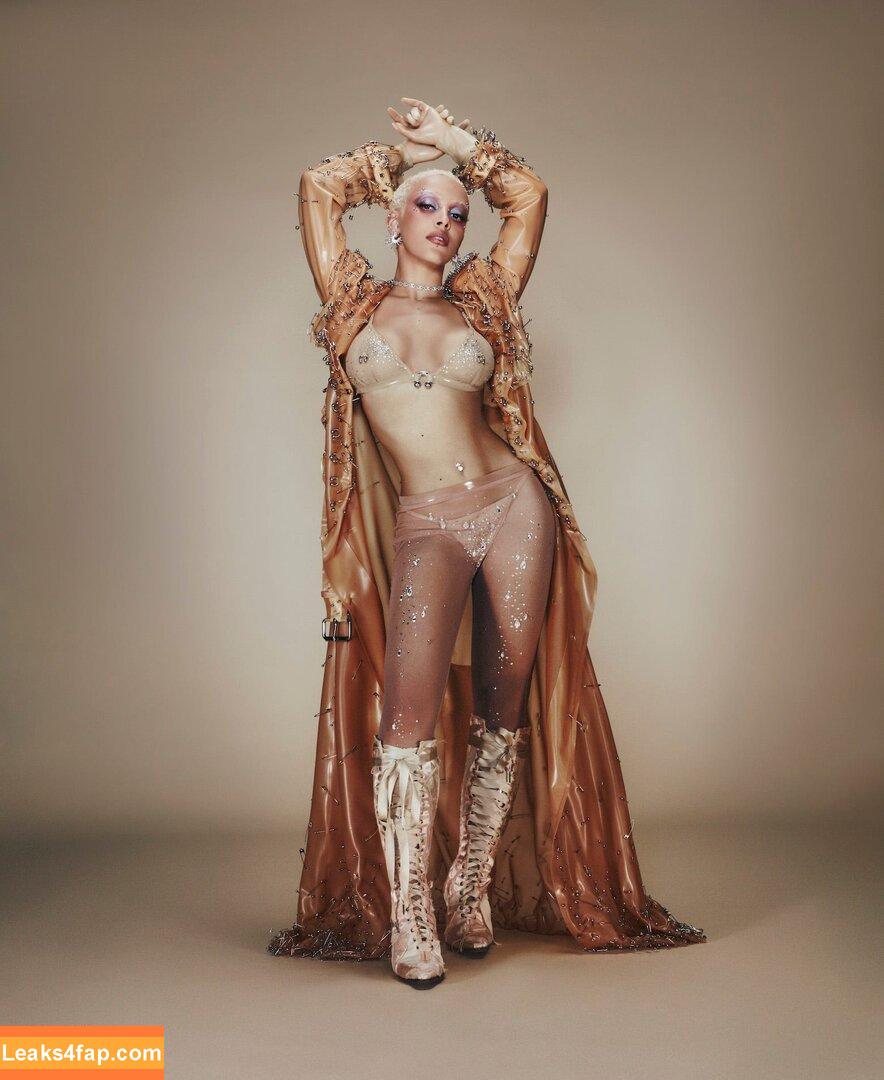 dojacat /  leaked photo photo #0002