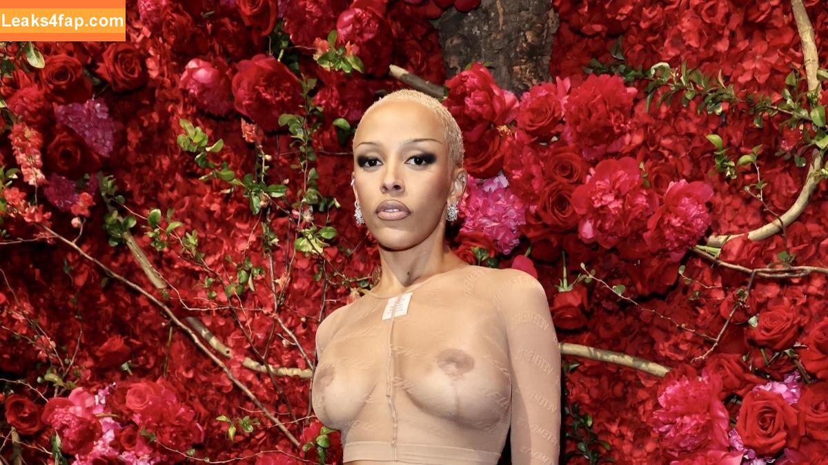 dojacat /  leaked photo photo #0003