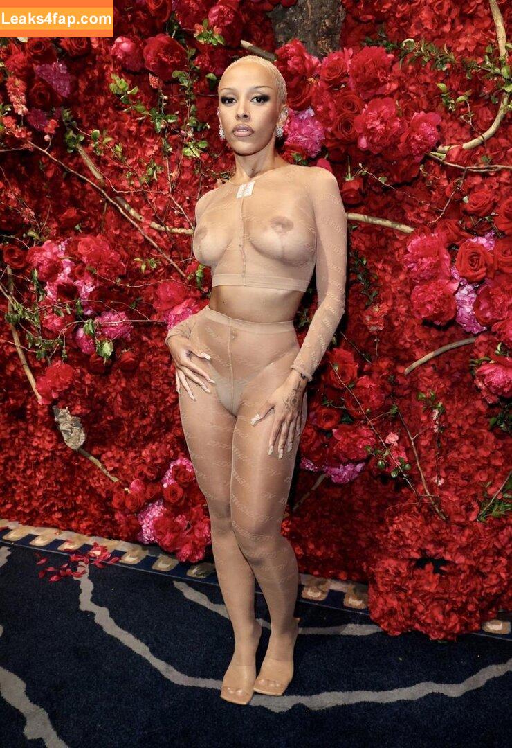 dojacat /  leaked photo photo #0005