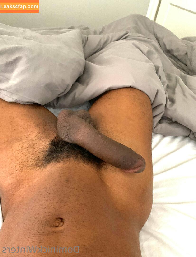 dominickwinters / dominick.winters leaked photo photo #0018