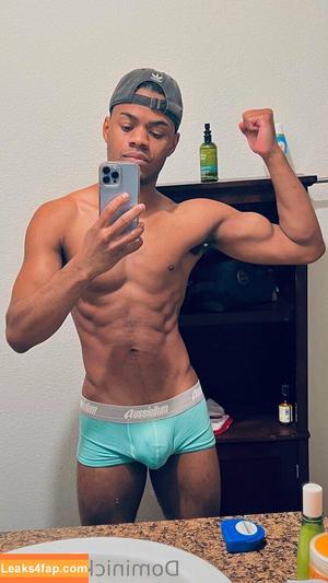 dominickwinters photo #0013