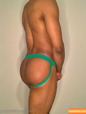 dominickwinters photo #0025