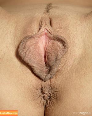 Dominika C photo #2775