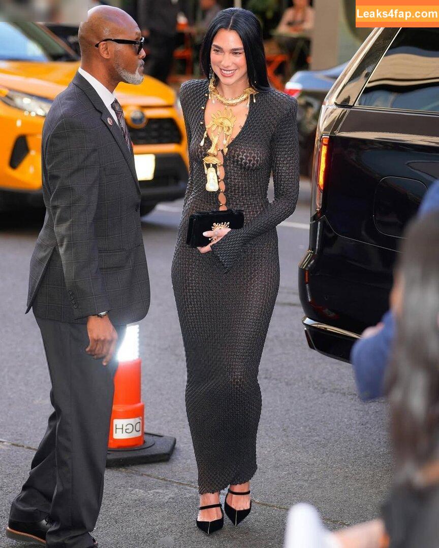 Dua Lipa / dualipa / newsong слитое фото фото #6932