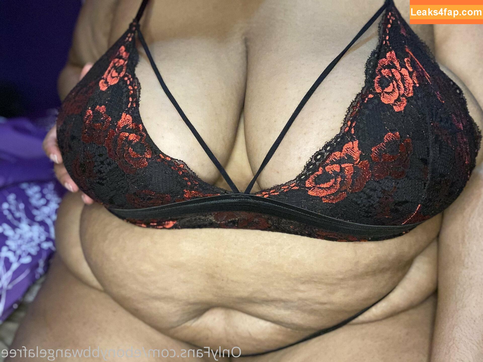 ebonybbwangelafree / ebonylab_ leaked photo photo #0043