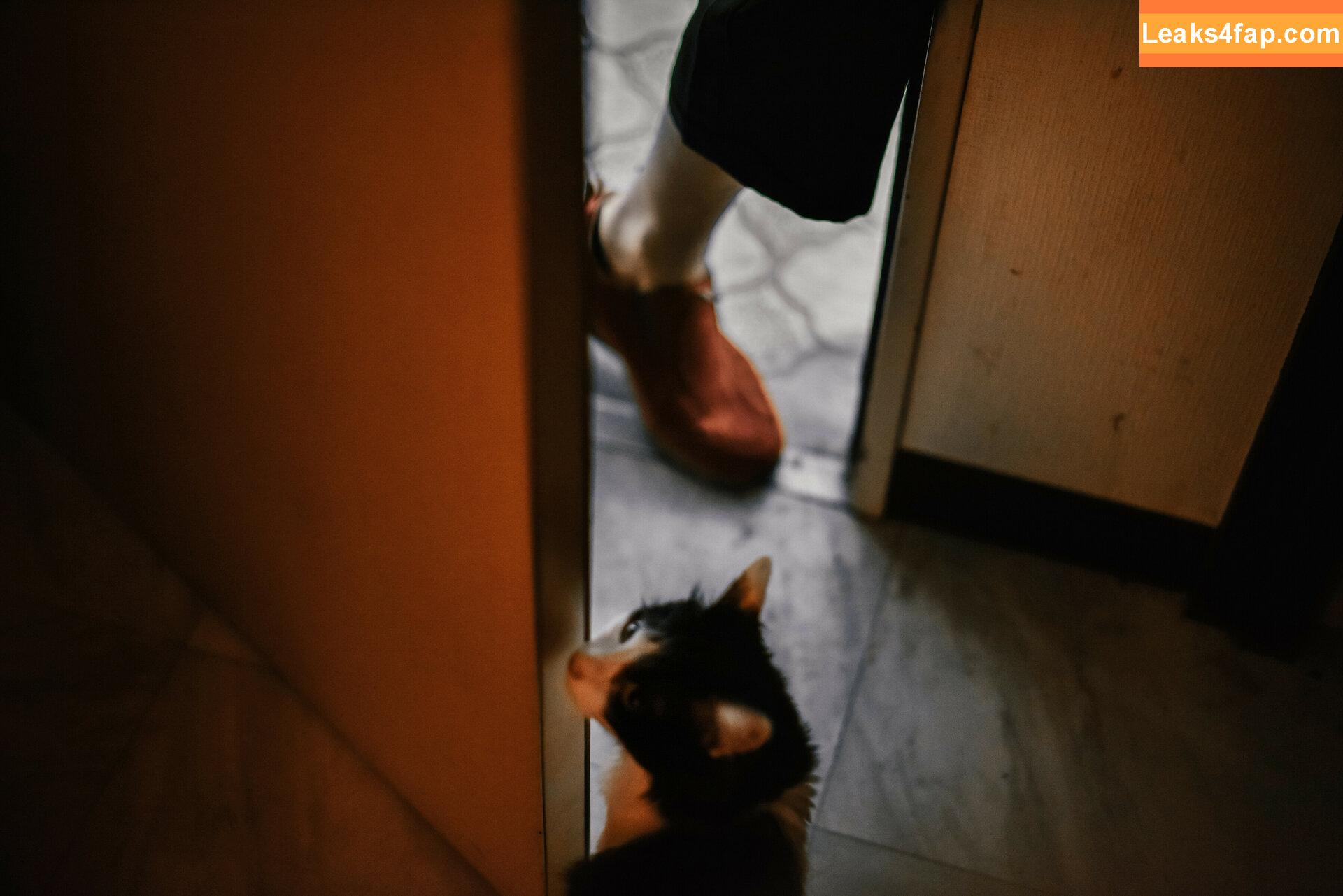 eeelyeee / Ely Cosplay / Ely_eee leaked photo photo #0522