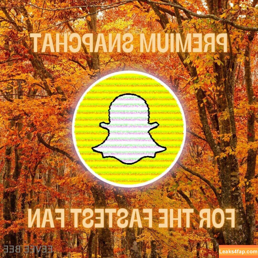 Eevee Bee / Eeveebeeshow / eevee_bee / eeveethebee leaked photo photo #0414