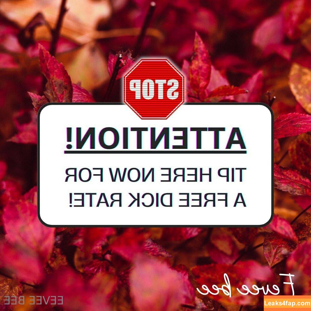 Eevee Bee / Eeveebeeshow / eeveethebee слитое фото фото #0506